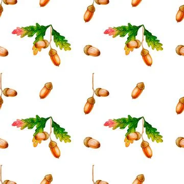 Seamless pattern with acorns, oak leaves and oak branches. Watercolor print Stock Illustration