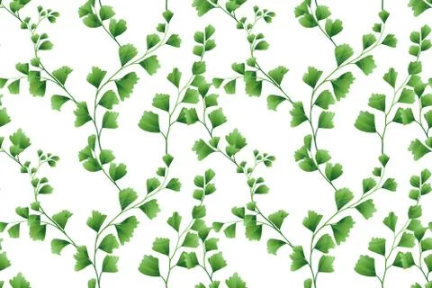 Seamless pattern, Adiantum leaves on white background Stock Illustration