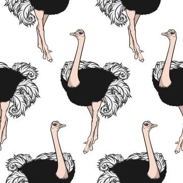 Seamless pattern with an African ostrich Stock Illustration