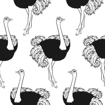 Seamless pattern with an African ostrich 库存插图