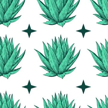 Seamless pattern with agave plant. Hand drawn illustration in engraving sty.. Stock Illustration