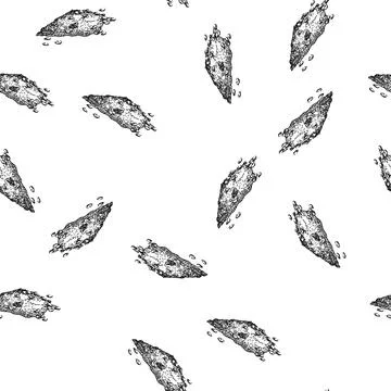 Seamless pattern agriculture sesame seed sketch hand drawn Stock Illustration