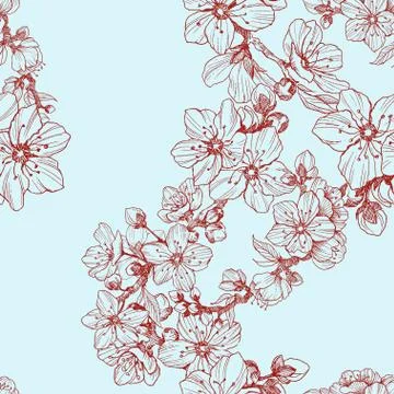 Seamless pattern. Almond blossom branches. Vintage botanical hand drawn Stock Illustration