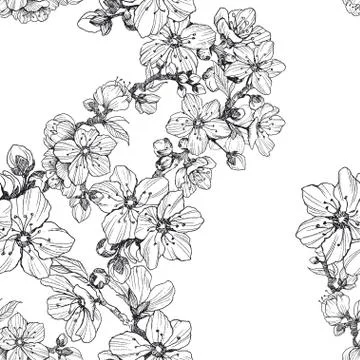 Seamless pattern. Almond blossom branches. Vintage botanical hand drawn Stock Illustration