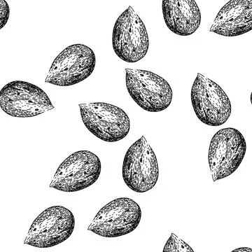 Seamless pattern almond nut white sketch hand drawn Stock Illustration