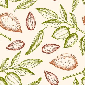 Seamless pattern with almond nuts Stock Illustration