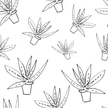 Seamless pattern of aloe sketch Illustrazione stock