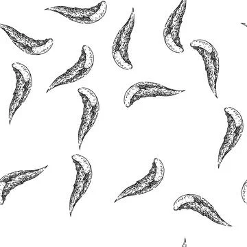 Seamless pattern aloe vera green sketch hand drawn 库存插图