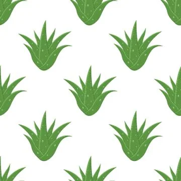 Seamless pattern with aloe vera medicinal plant cut leaves isolated on white  Illustrazione stock