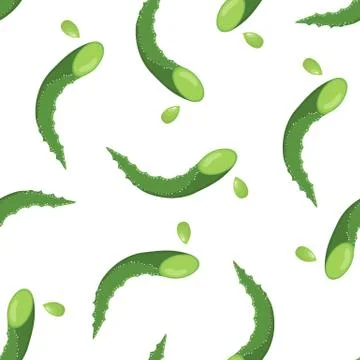 Seamless pattern with aloe vera medicinal plant cut leaves isolated on white  Stock Illustration