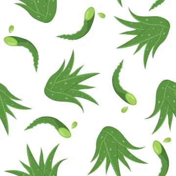Seamless pattern with aloe vera medicinal plant cut leaves isolated on white  Stock Illustration
