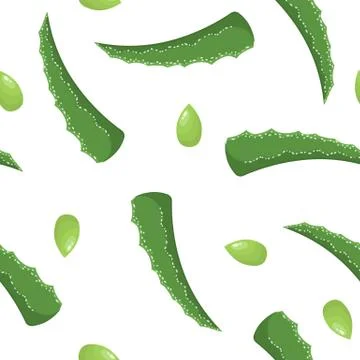 Seamless pattern with aloe vera medicinal plant cut leaves isolated on white  Stock Illustration