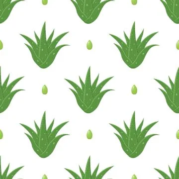 Seamless pattern with aloe vera medicinal plant cut leaves isolated on white  Stock Illustration