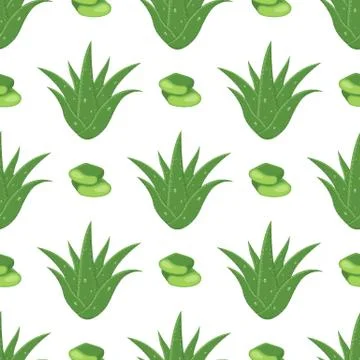 Seamless pattern with aloe vera medicinal plant cut leaves isolated on white  Illustrazione stock