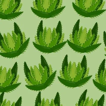 Seamless pattern with aloe vera medicinal plant cut leaves Illustrazione stock