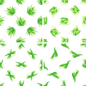 Seamless pattern of aloe vera plant and slices dripping with juice on white 스톡 일러스트