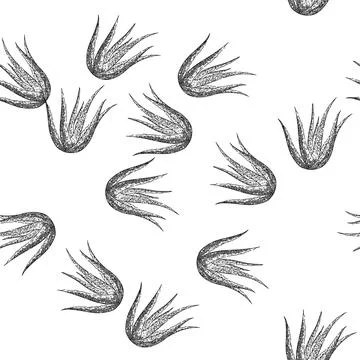 Seamless pattern aloe vera plant sketch hand drawn 库存插图