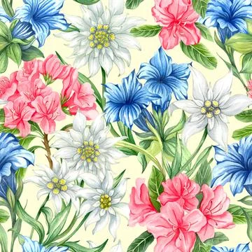 Seamless pattern with alpine flowers. Edelweise, rhododendron, gentiana Stock Illustration