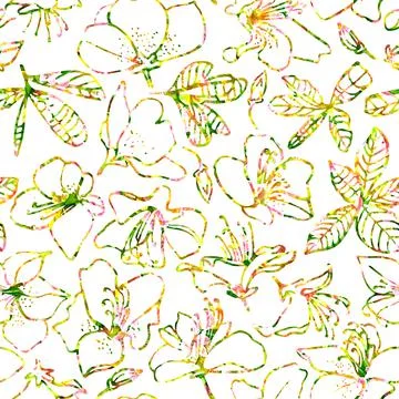 Seamless pattern of alstroemeria flowers linear Stockillustratie