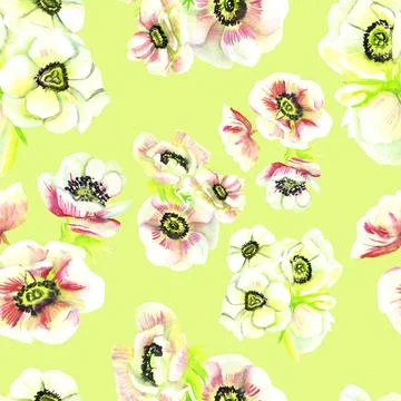 Seamless pattern of anemones on a green background watercolor Stock Illustration