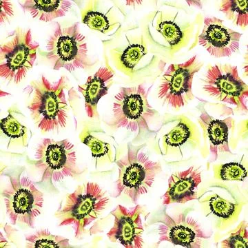 Seamless pattern of anemones watercolor Stock Illustration