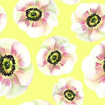 Seamless pattern of anemones on a yellow background watercolor Stock Illustration
