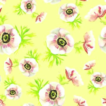 Seamless pattern of anemones on a yellow background watercolor Stock Illustration