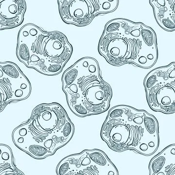 Seamless pattern with animal cells イラスト素材