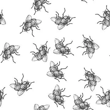 Seamless pattern animal fly sketch hand drawn Stock Illustration