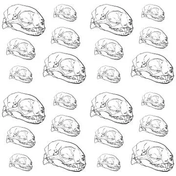 Seamless pattern of animal skull background Stock Illustration