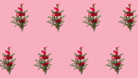 Seamless pattern animation with many spruce branches and red curly ribbon Stock Footage 140958737