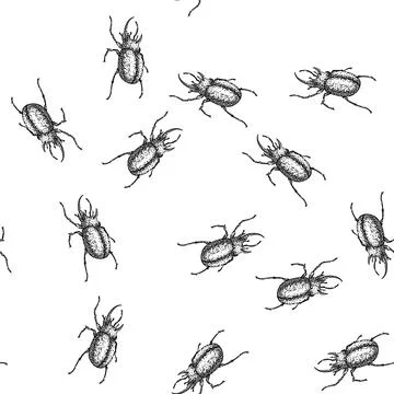 Seamless pattern antennae beetle sketch hand drawn Stock Illustration