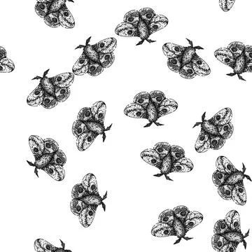 Seamless pattern antennae night moth sketch hand drawn Stock Illustration