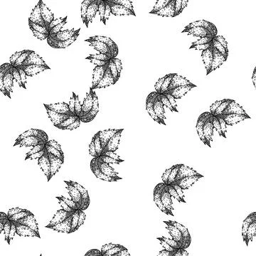 Seamless pattern antique nettle sketch hand drawn Stock Illustration