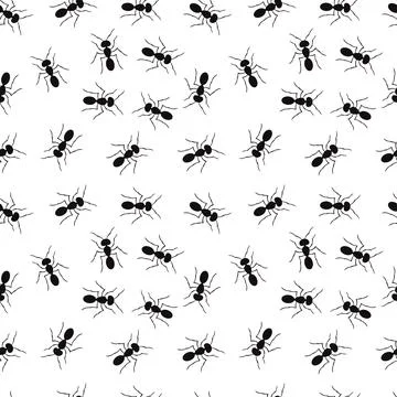 Seamless pattern with ants. Vector illustration white background Stock Illustration