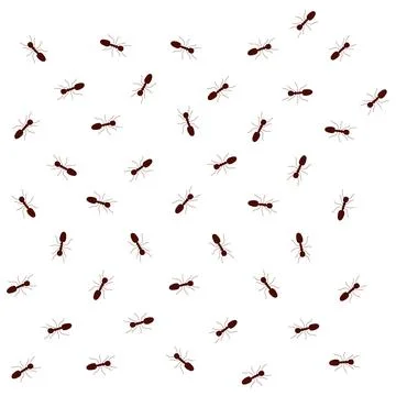 Seamless pattern with ants. Vector illustration. Seamless black ants pattern 스톡 사진