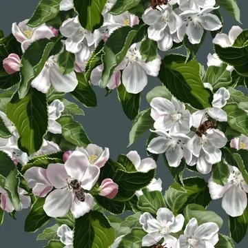 Seamless pattern of apple blossoms. Watercolor illustration of white wild Illustrazione stock