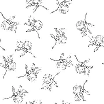 Seamless pattern apple branch leaf sketch hand drawn Illustrazione stock