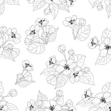 Seamless pattern, apple tree flowers contours イラスト素材