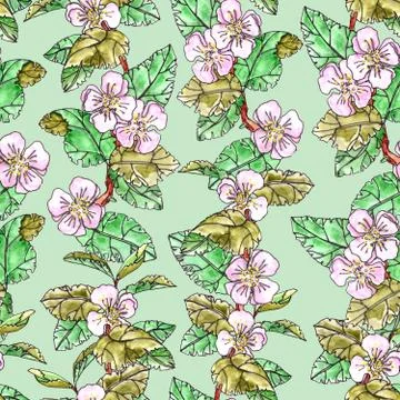 Seamless pattern of apple trees with pink flowers and leaves on a light green Stock Illustration