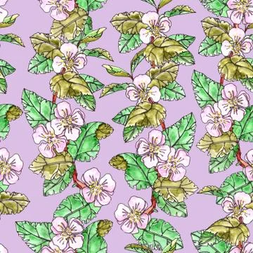 Seamless pattern of apple trees with pink flowers and leaves on a lilac Illustrazione stock