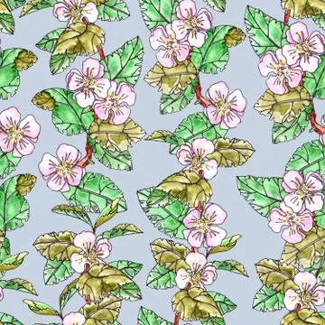 Seamless pattern of apple trees with pink flowers and leaves on a light blue Stock Illustration