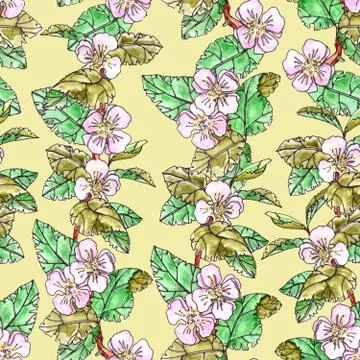 Seamless pattern of apple trees with pink flowers and leaves on a light yello Stock Illustration