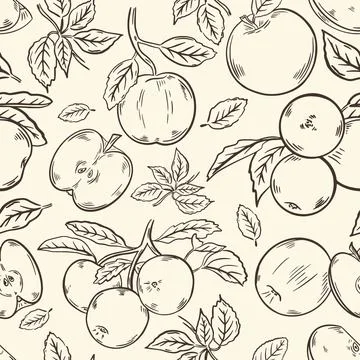 Seamless pattern with apples, vector. Fruits whole and halves, on a branch. イラスト素材