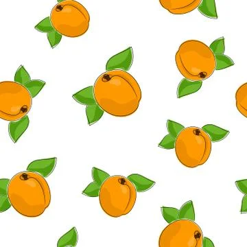Seamless Pattern of Apricot イラスト素材