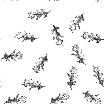 Seamless pattern argula green salad sketch hand drawn 库存插图