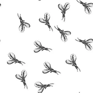 Seamless pattern argula vegetable salad sketch hand drawn Stock Illustration