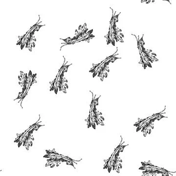 Seamless pattern argula vegetarian salad sketch hand drawn Stock Illustration