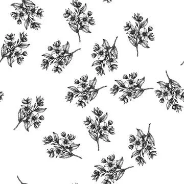Seamless pattern art jasmine sketch hand drawn Stock Illustration