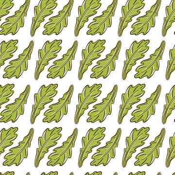 Seamless pattern of arugula leaves in flat style. Hand drawn floral illustration Stock Illustration